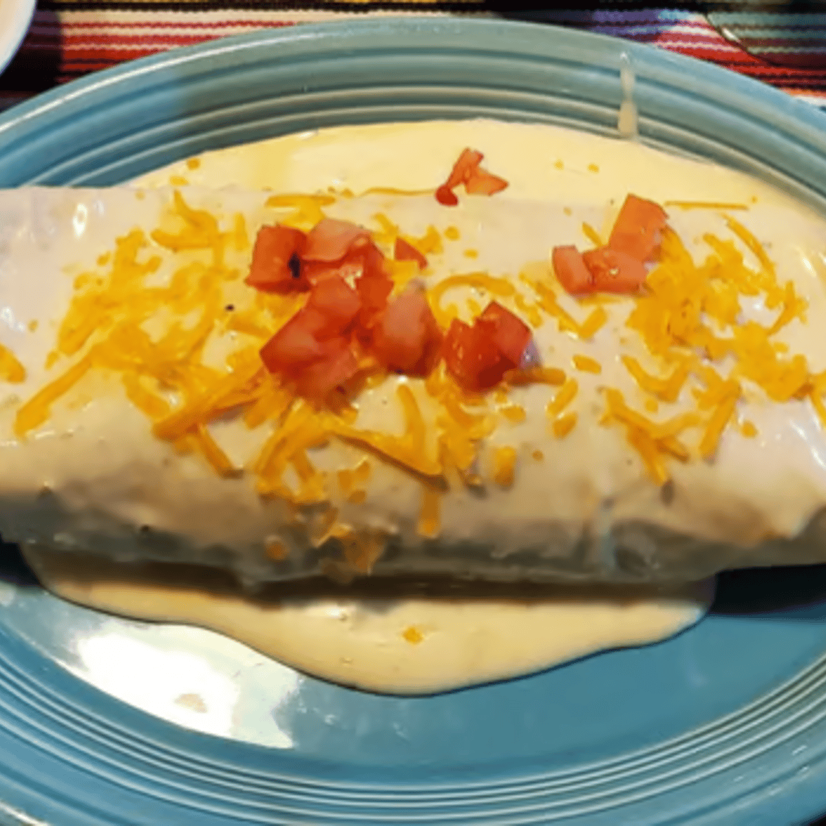 Burrito Magnifico